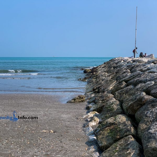 Quallen, Algen, braunes Meerwasser am Lido di Venezia