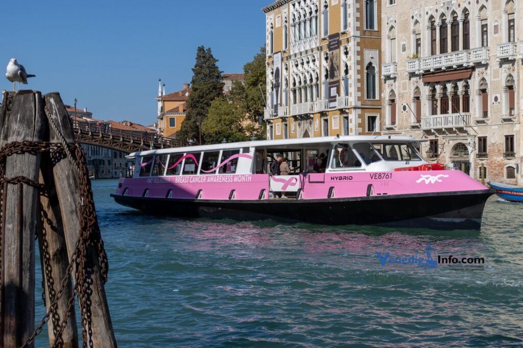 Venedig - Rosa Oktober 2022