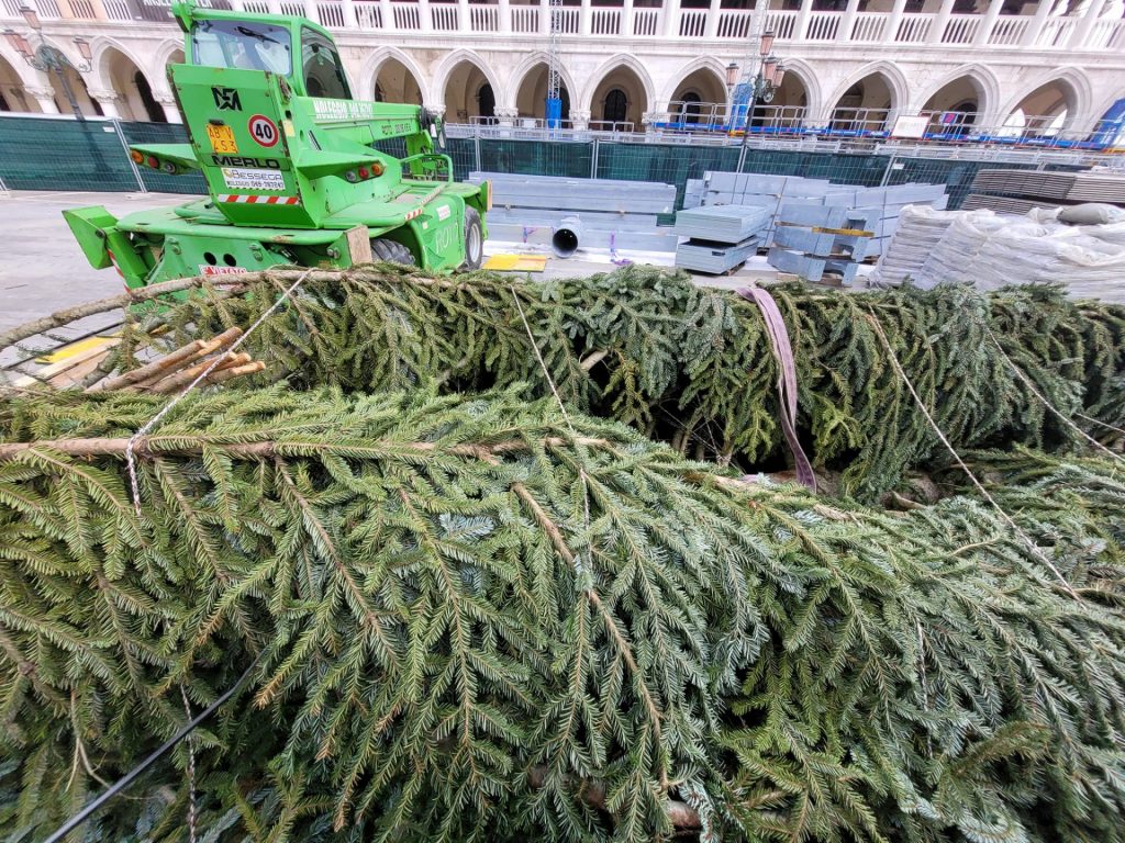 Venedig - Der Weihnachtsbaum 2022 ist eingetroffen