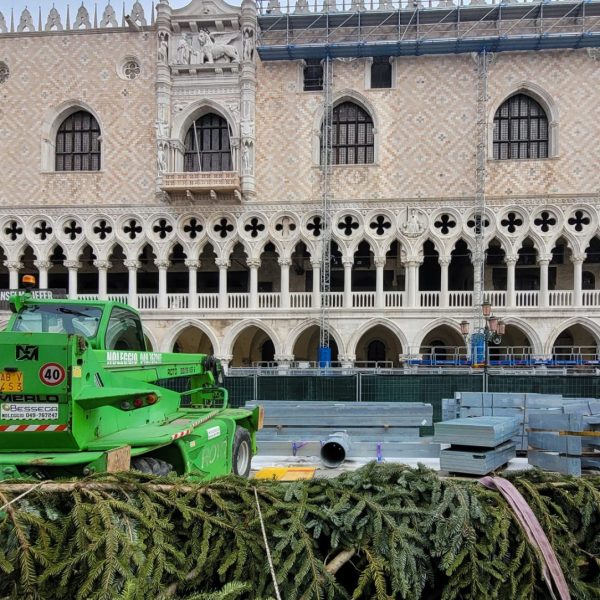 Venedig – Der Weihnachtsbaum 2022 ist eingetroffen