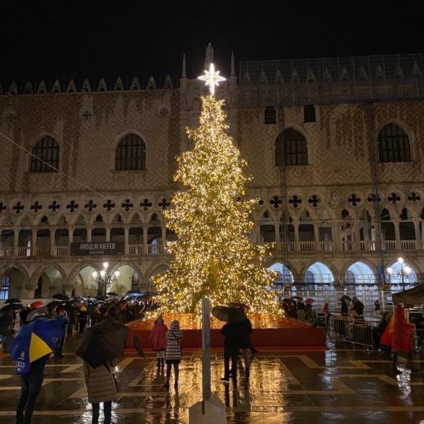 Markusplatz- Der Weihnachtsbaum 2022