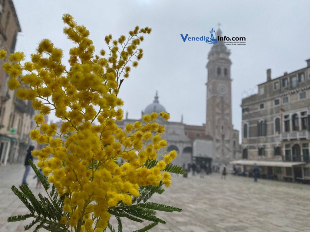 8. März Weltfrauentag Frauentag in Italien 2023